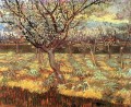 Abricotiers en fleurs Vincent van Gogh
